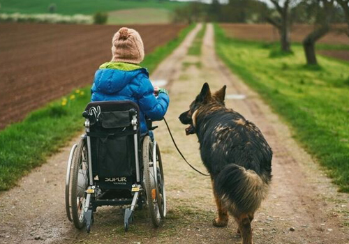 LPF-Hund Assistenzhund Hessen